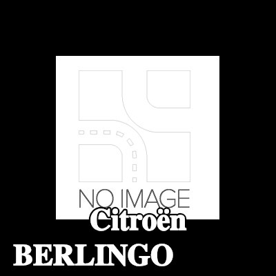 CITROEN/PEUGEOT رأس هوائي سقف السيارة — Citroën Berlingo