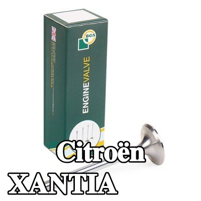 BGA صمام السحب — Citroën Xantia