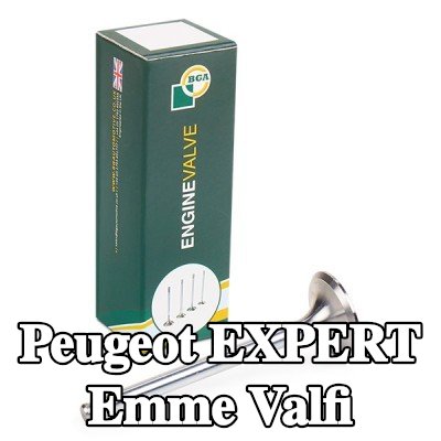 BGA Emme valfi — 2000 Peugeot Expert