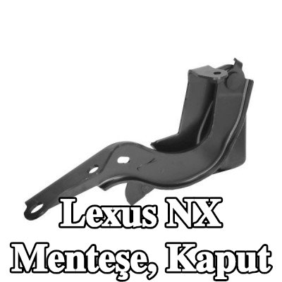 BLIC Menteşe, kaput — Lexus Nx
