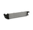 RIDEX Intercooler — Nissan Nv300 (4)