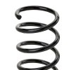 SACHS Helezon yay — 2004 Ford Focus (3)