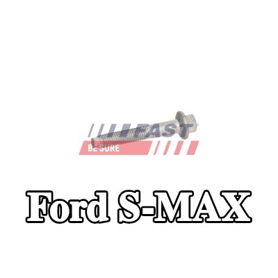 FAST برغي مشبك الحاقن — Ford S-max