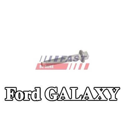 FAST برغي مشبك الحاقن — Ford Galaxy
