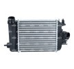 NRF Intercooler — Renault Taliant (1)