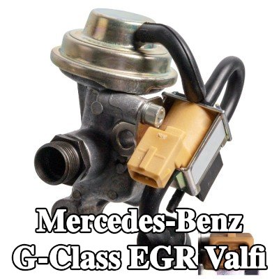 FEBI BILSTEIN EGR valfi — 2000 Mercedes-Benz G-Class