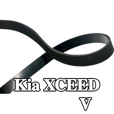 KAVO PARTS مجموعة الحزام V — Kia Xceed