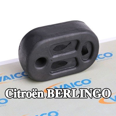 VAICO مشبك, كاتم الصوت بجودة VAICO الأصلية — 2000 Citroën Berlingo
