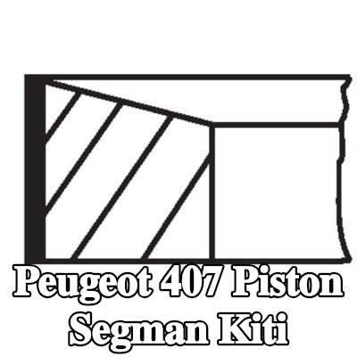 MAHLE Piston Segman Kiti — Peugeot 407