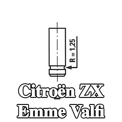 FRECCIA Emme valfi Krom kaplı valf gövdesi — Citroën Zx