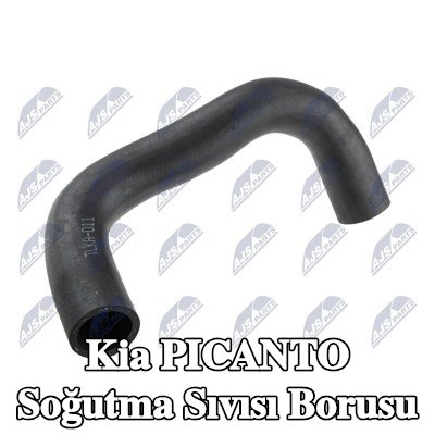 NTY Soğutma suyu borusu Alt, Sağ — Kia Picanto