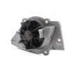 BOSCH Su pompası ve triger kayışı kiti Diş Sayısı: 141, Width: 25, 4mm — 2000 Citroën Dispatch (5)