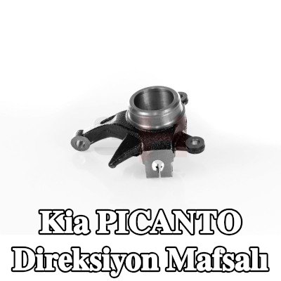 GH Direksiyon mafsalı Ön Aks Sağ — 2012 Kia Picanto