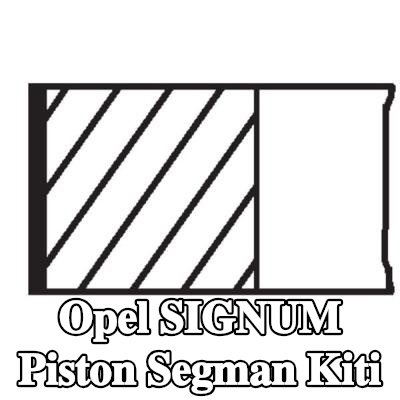 MAHLE Piston Segman Kiti — 2003 Opel Signum