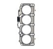 RIDEX Kafa contası Metal, 1, 45mm — 1997 Ford Galaxy (6)