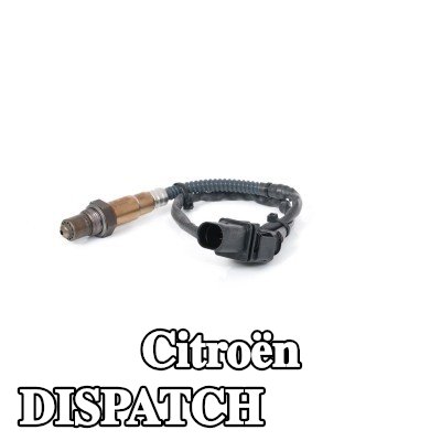 BOSCH مستشعر لامدا — Citroën Dispatch