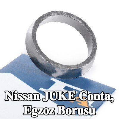 FA1 Conta, egzoz borusu — Nissan Juke