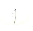 BOSCH El freni kablosu 330mm — 2012 Opel Corsa (2)