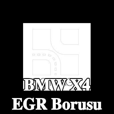 BMW EGR borusu — BMW X4