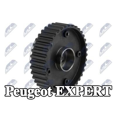NTY معدل عمود الكامات — Peugeot Expert