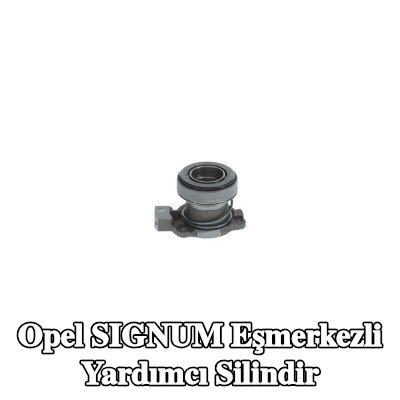 BOSCH Eşmerkezli yardımcı silindir — Opel Signum