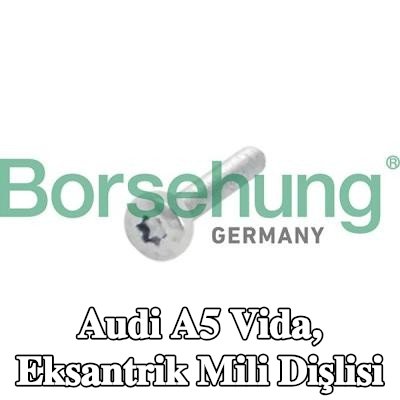 Borsehung Vida, eksantrik mili dişlisi — Audi A5