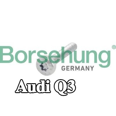 Borsehung برغي، ترس عمود الكامات — Audi Q3