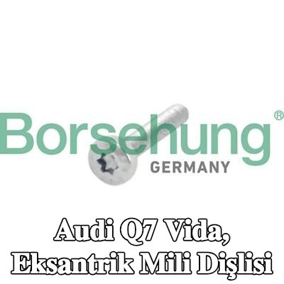 Borsehung Vida, eksantrik mili dişlisi — Audi Q7