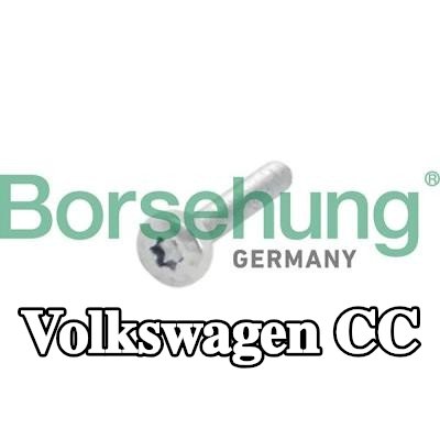 Borsehung برغي، ترس عمود الكامات — Volkswagen Cc