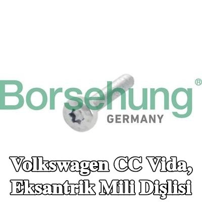 Borsehung Vida, eksantrik mili dişlisi — Volkswagen Cc