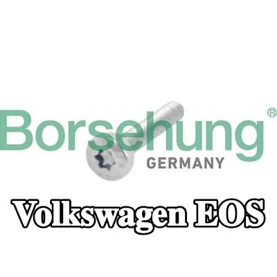 Borsehung برغي، ترس عمود الكامات — Volkswagen Eos