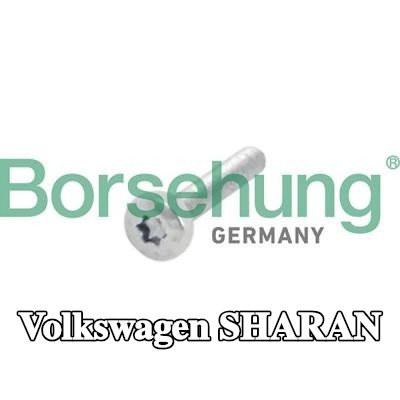 Borsehung برغي، ترس عمود الكامات — Volkswagen Sharan
