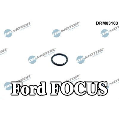 DR.MOTOR AUTOMOTIVE حشية غلاف منظم الحرارة خرطوم سائل التبريد — Ford Focus