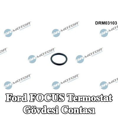DR.MOTOR AUTOMOTIVE Termostat muhafazası contası Soğutma Suyu Hortumu — Ford Focus