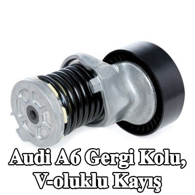INA Gergi Kolu, V-oluklu kayış — 2006 Audi A6