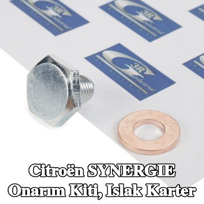3RG Onarım Kiti, ıslak karter — Citroën Synergie