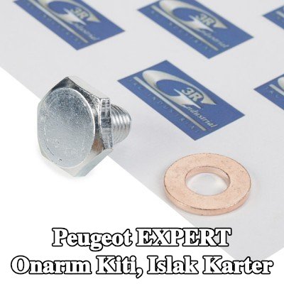 3RG Onarım Kiti, ıslak karter — Peugeot Expert