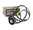 RIDEX PLUS V-Oluklu Kayış Seti — Mercedes-Benz T2 (1)