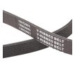 RIDEX PLUS Serpantin kayışı 1705mm, Number of ribs: 7 — Hyundai H350 (5)