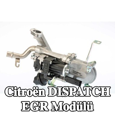 BorgWarner Sabitleme/montaj malzemesi içermeyen EGR Modülü — 2007 Citroën Dispatch