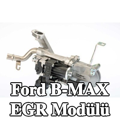 BorgWarner Sabitleme/montaj malzemesi içermeyen EGR Modülü — Ford B-max