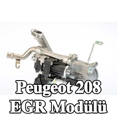 BorgWarner Sabitleme/montaj malzemesi içermeyen EGR Modülü — 2012 Peugeot 208