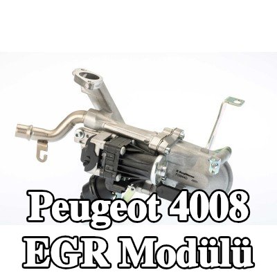 BorgWarner Sabitleme/montaj malzemesi içermeyen EGR Modülü — Peugeot 4008