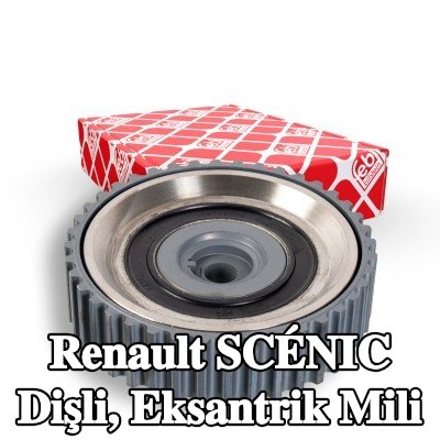 FEBI BILSTEIN Dişli, eksantrik mili — 2000 Renault Scénic