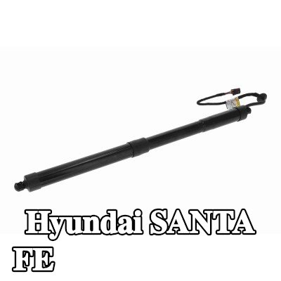 ACKOJA محرك كهربائي، الباب الخلفي — 2012 Hyundai Santa Fe