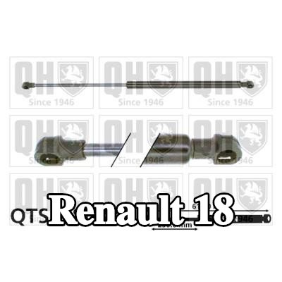 QUINTON HAZELL دعامة الباب الخلفي 610mm — Renault 18
