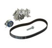 BOSCH Su pompası ve triger kayışı kiti Diş Sayısı: 95, Width: 23, 4mm — Renault Wind (2)