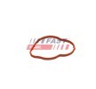 FAST Conta, termostat — Renault Duster (2)