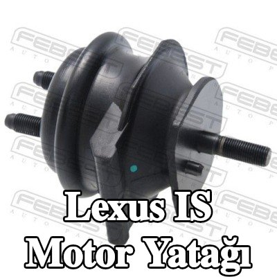FEBEST Motor yatağı Ön — 2002 Lexus Is