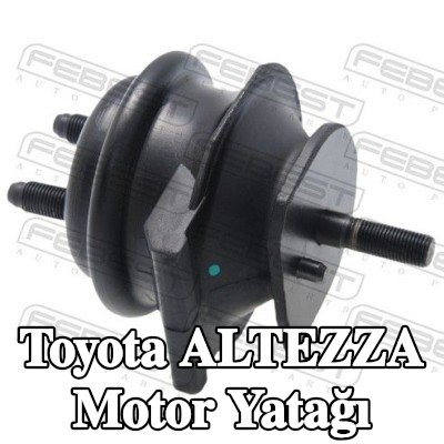 FEBEST Motor yatağı Ön — Toyota Altezza